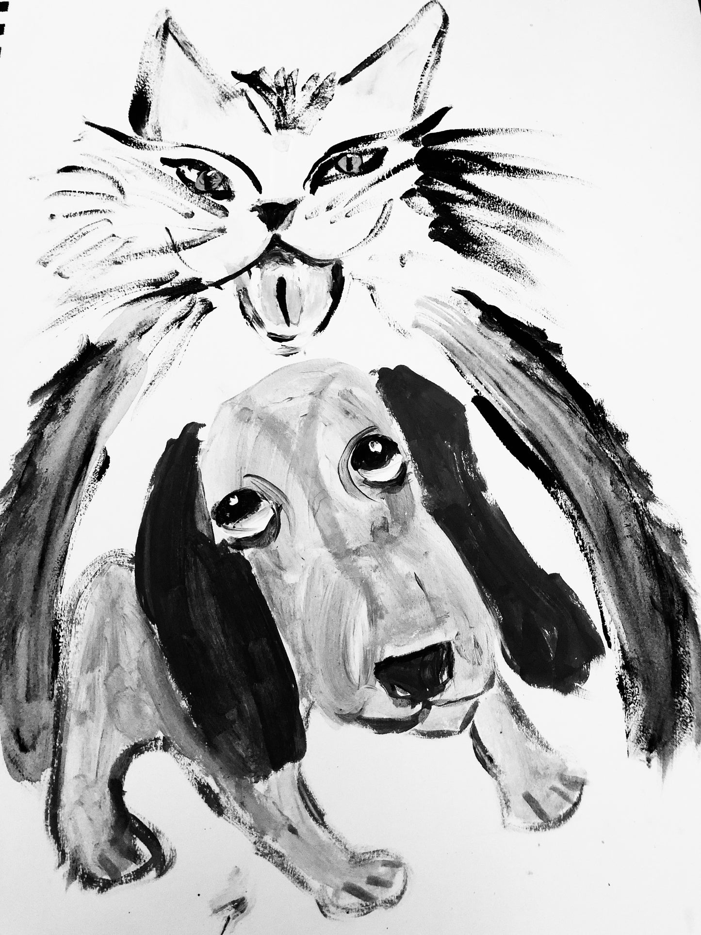Print. playing cat and dog